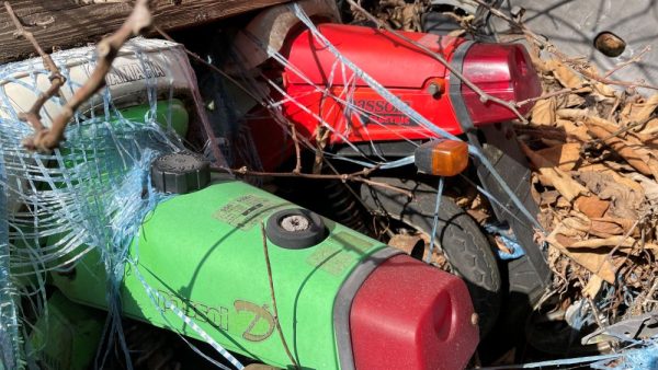 スクーター🛵。。。