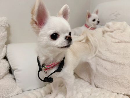 イヤホン🏃‍♀️🎧