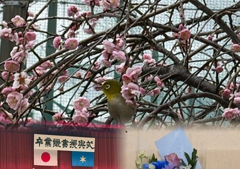 最後の卒業式🌸