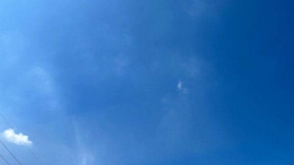新たな出会い